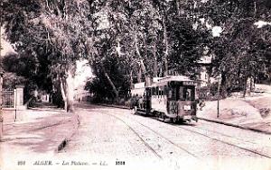 Alger - Platanes - 1908